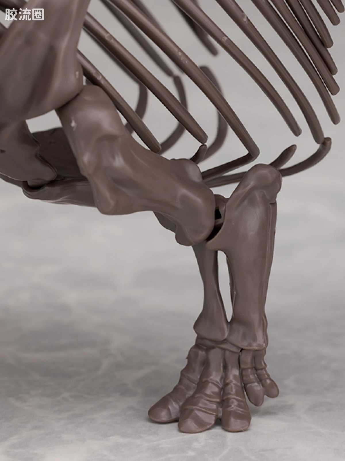 万代综合拼装模型系列 Imaginary Skeleton系列 三角龙 - 图片